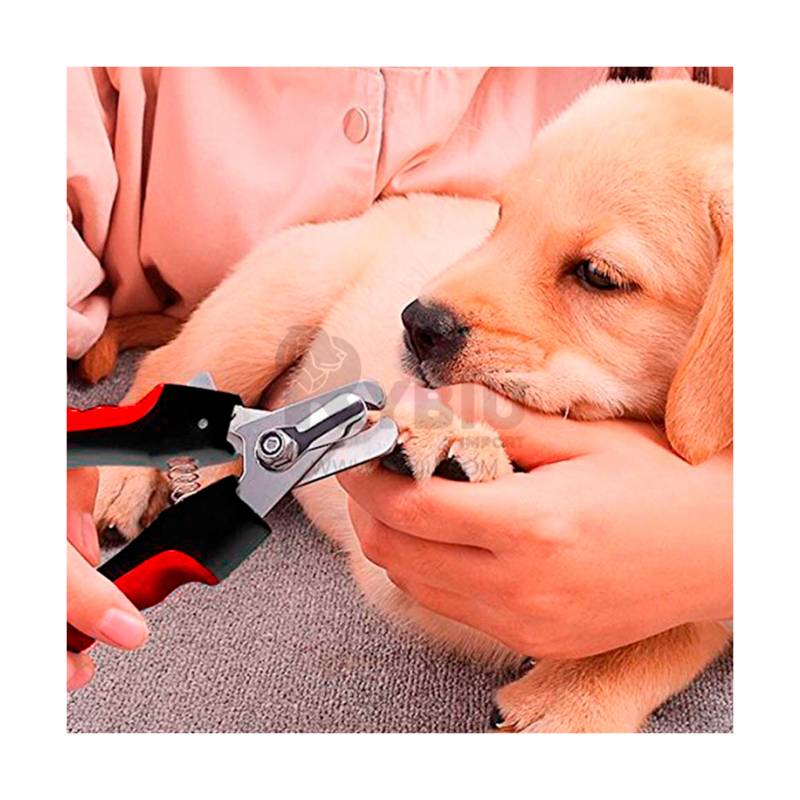 Chico Corta uñas Para Mascota Fácil de Usar GENERICO 