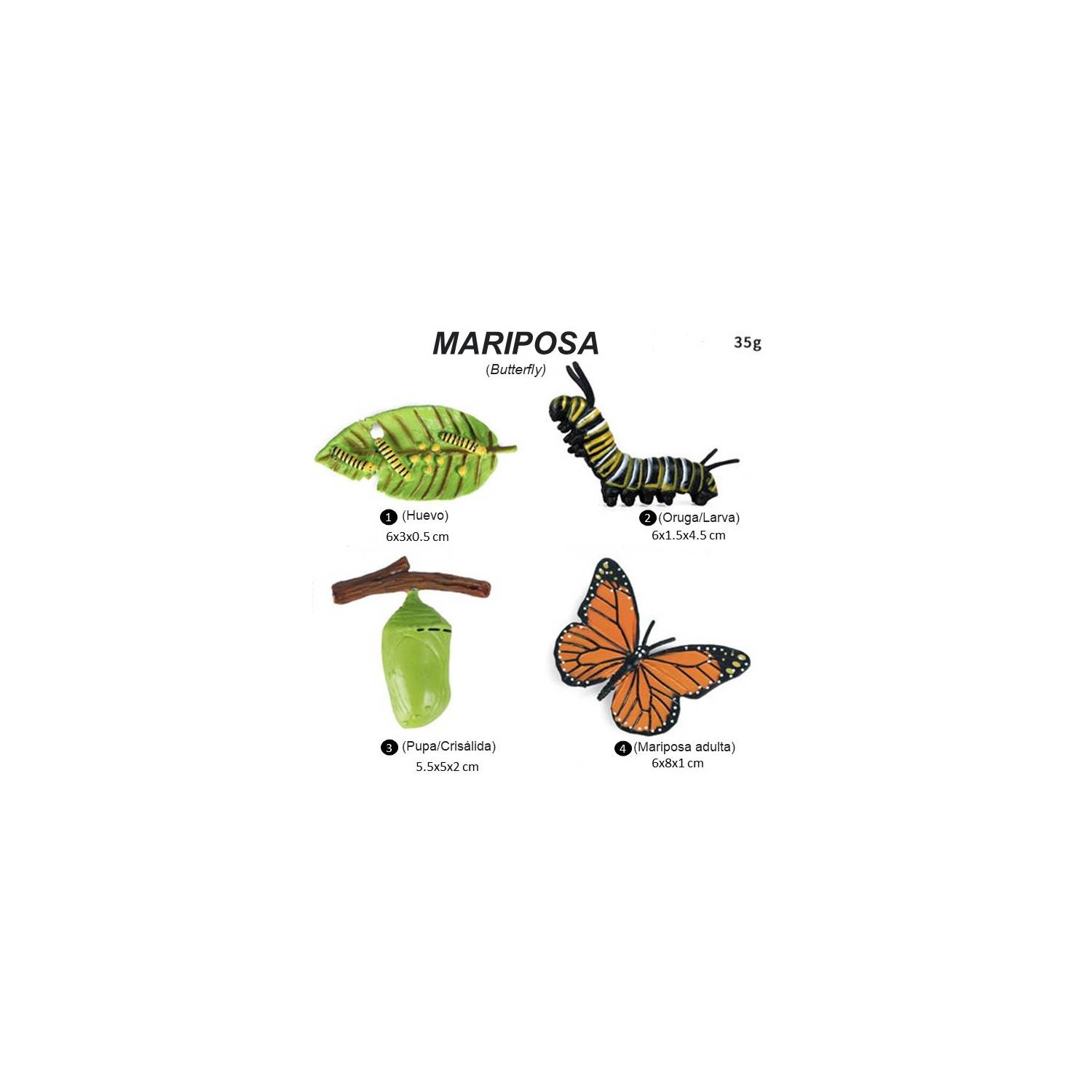 Juguete Genérico Educativo Figuras Coleccionables Insectos