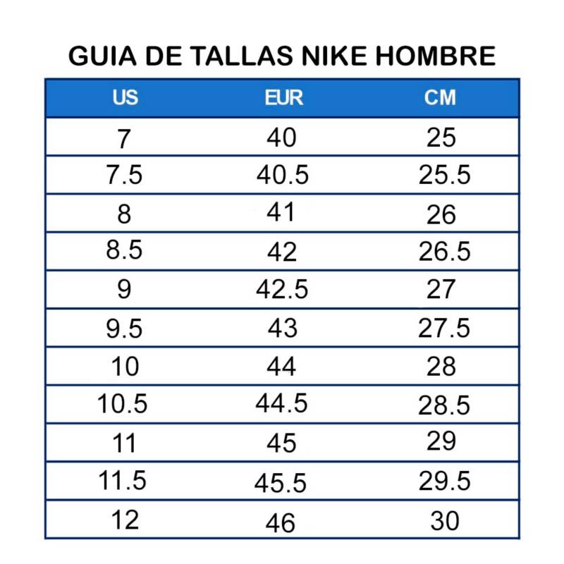 Zapatillas Nike SB Ishod Wair Premium - calzado - Nike SB - Nike Argentina