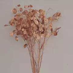 DECORA FLORES - Ramo de lunaria natural dorada