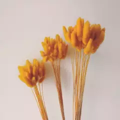DECORA FLORES - Pack de colitas de conejo amarillas x 3 ramos