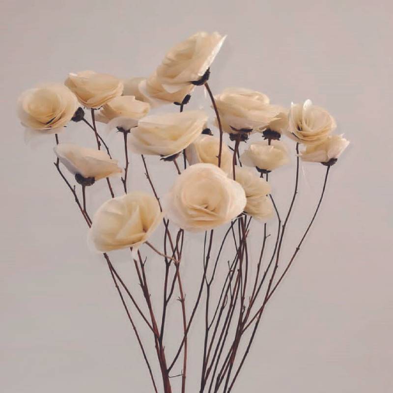 Ramo de flores secas Blanco