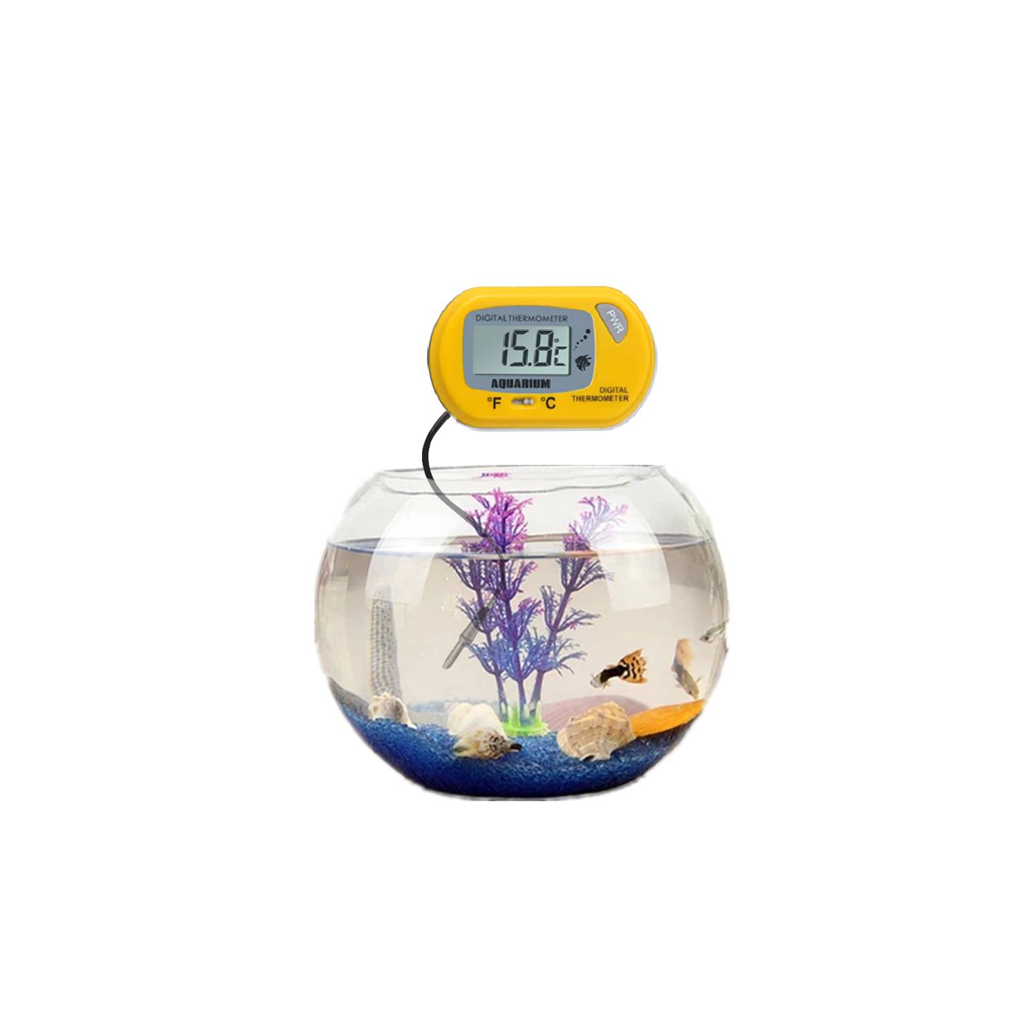 Termómetro de acuario, termómetro de agua para , medición de temperatura  del terrario para , anfibios, agua de salada dulce Zulema termómetro  digital