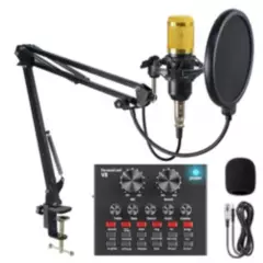 DREIZT - Micrófono Profesional con Consola de Sonido BM-800 Dreizt Gold