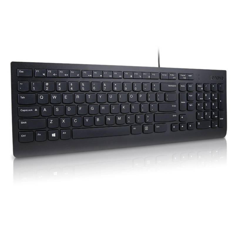LENOVO - Teclado Lenovo Essential Wired Keyboard US English 103P - 4Y41C68642