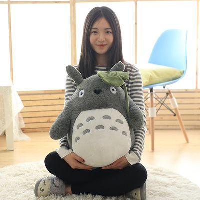 Peluche Totoro Style Manga étonné