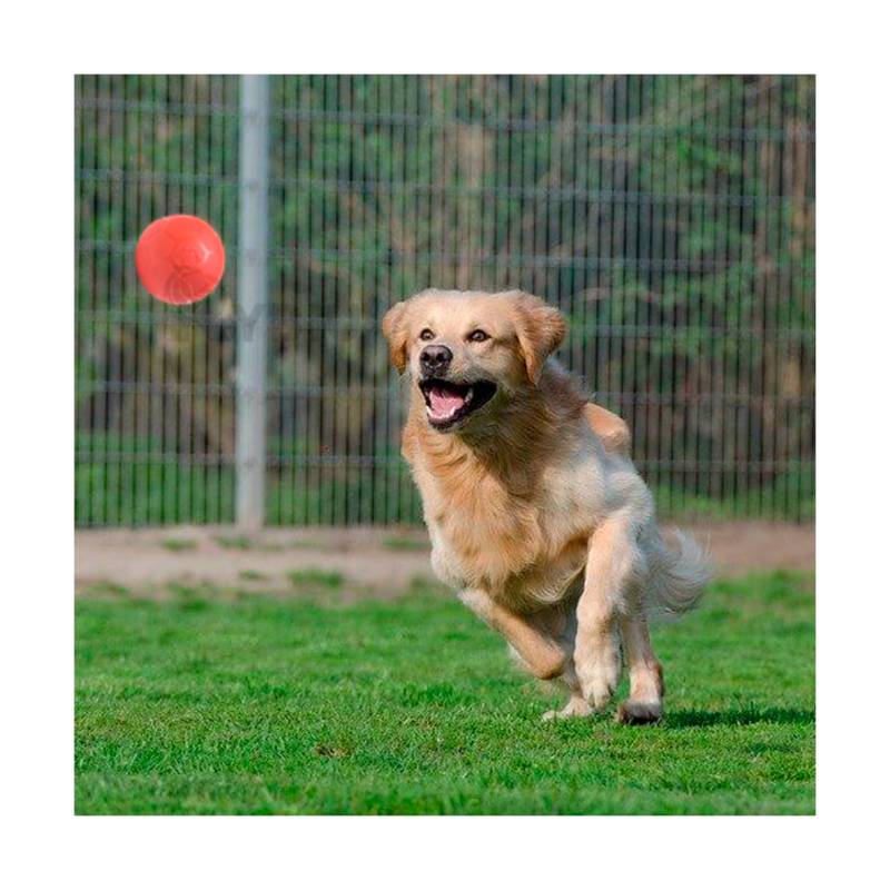 Nuevos juguetes para perros medianos y grandes Golden Retriever