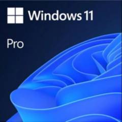 Microsoft Windows 11 Pro OEM Global