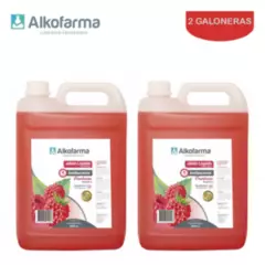 ALKOFARMA - Jabón líquido antibact.4L frambuesa ALKOFARMA.Pack 2 galones