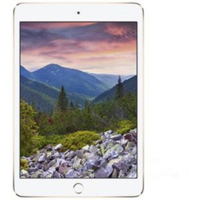 Apple iPad mini3 A1599 7.9 inch WiFi 16GB grey Reacondicionado APPLE