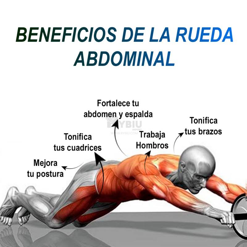 Rueda Abdominal Basic