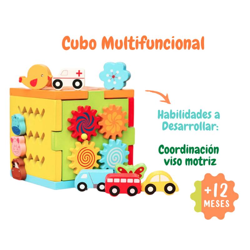 Cubo Multifuncional Didactico Generico 8325