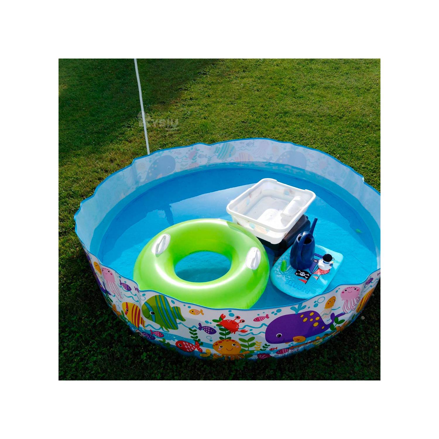 Intex 56452 Ocean Play Snapset Pool