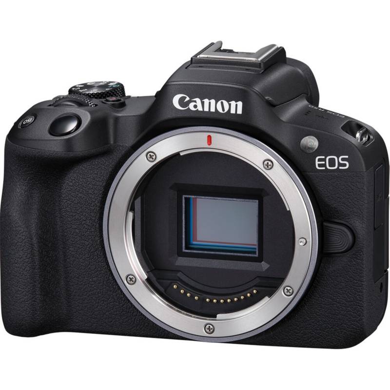 Canon - Cámara digital EOS R sin espejo (solo cuerpo)