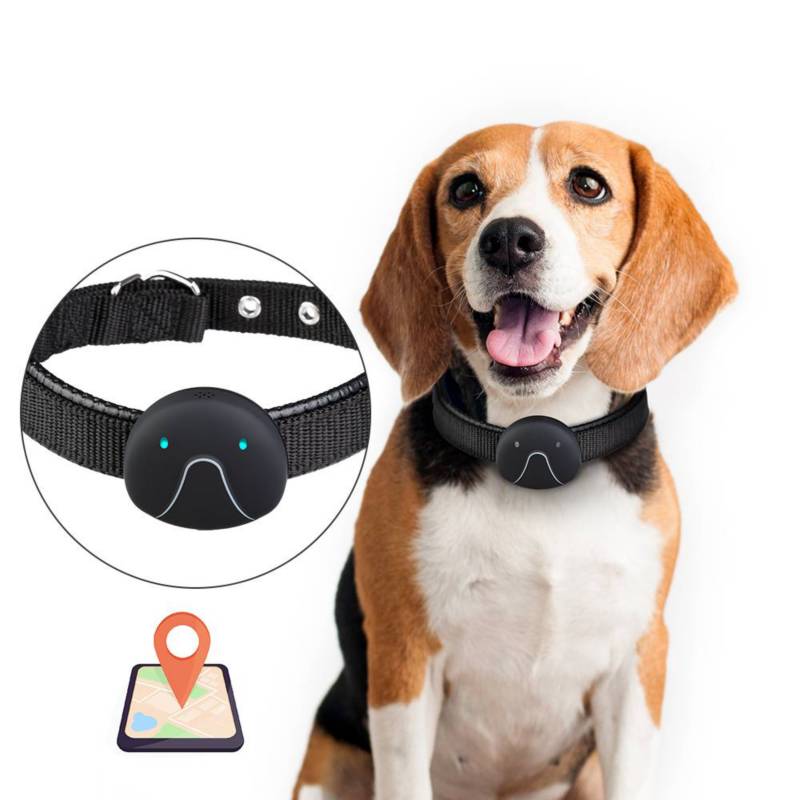 Rastreador eléctrico inteligente con Mini GPS para perros GENERICO