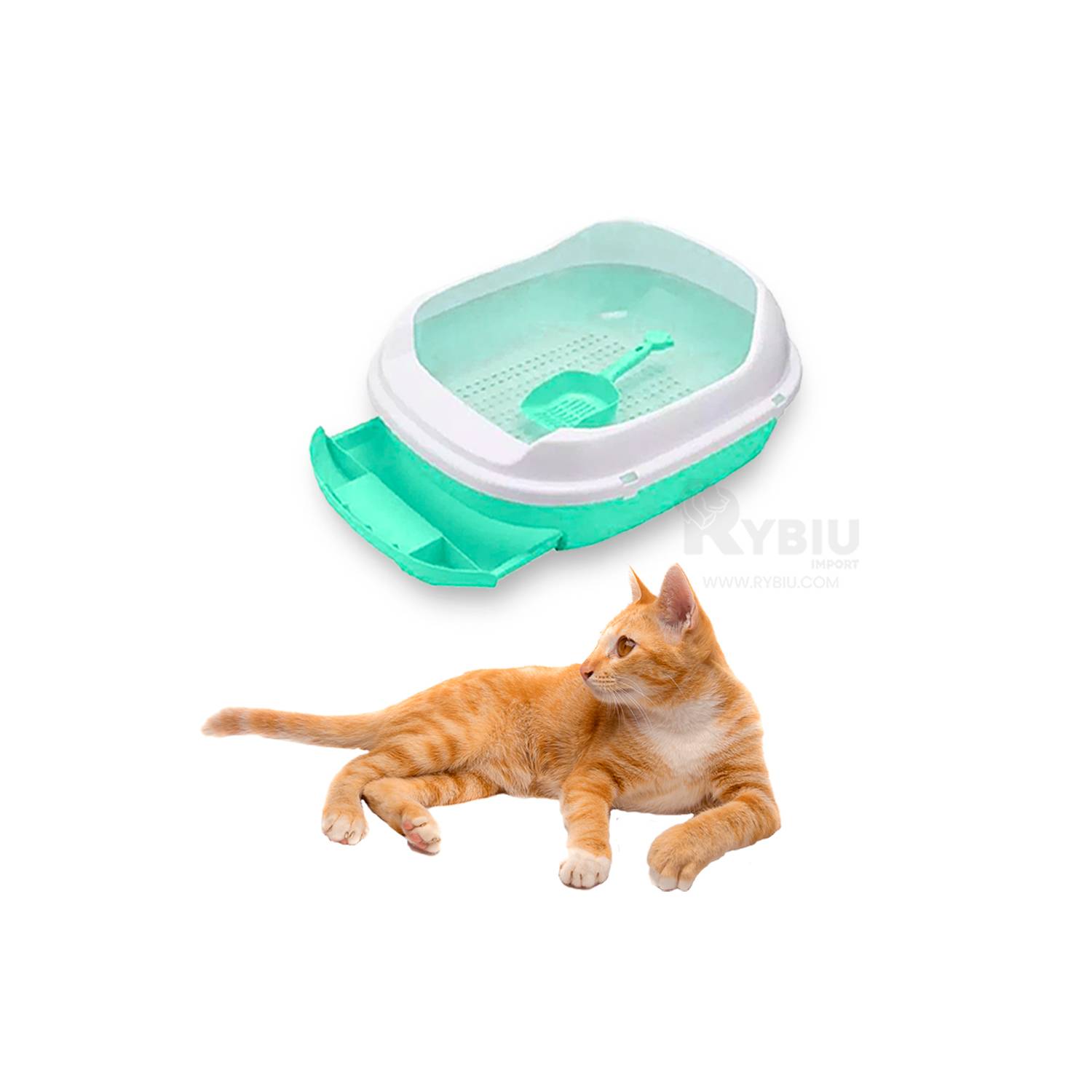 Bandeja de arena para gatos verde con filtro - Cat-oh pet shop