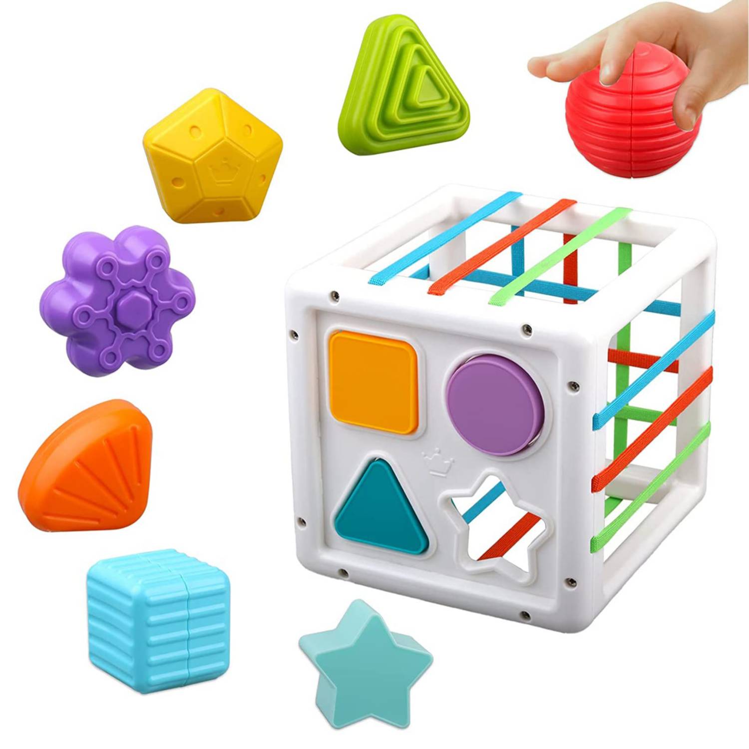 Pote de clasificación juguetes sensoriales educativo GENERICO