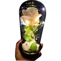 GENERICO - Rosa Eterna, Cúpula, Adorno Similar Rosa Real, luz  Led blanco
