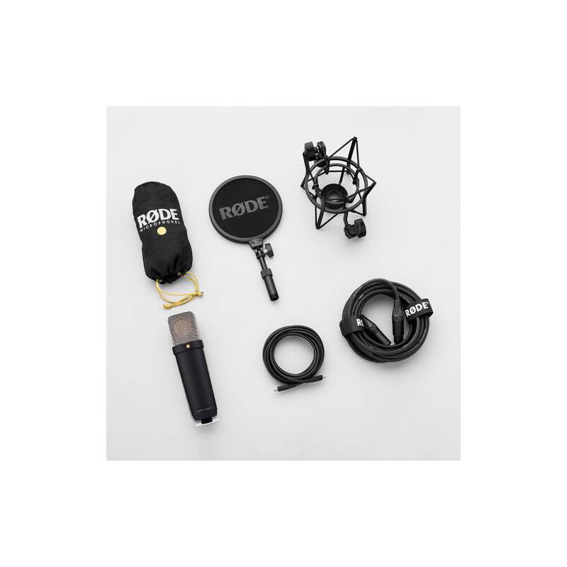 Micrófono Profesional Mic Pro X1 Yanmai QY-X1 Negro