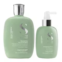 ALFAPARF MILANO - ALFAPARF SEMI DI LINO – Dúo Energizing Shampoo 250 ml + Energizing Tonic 125 ml