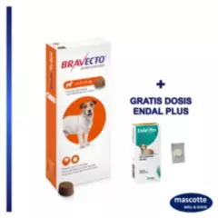 BRAVECTO - Antipulgas para perros bravecto 250mg de 4.5 a 10 kg + ENDAL