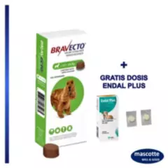 BRAVECTO - Antipulgas para perros bravecto 500mg de 10 a 20 kg + ENDAL