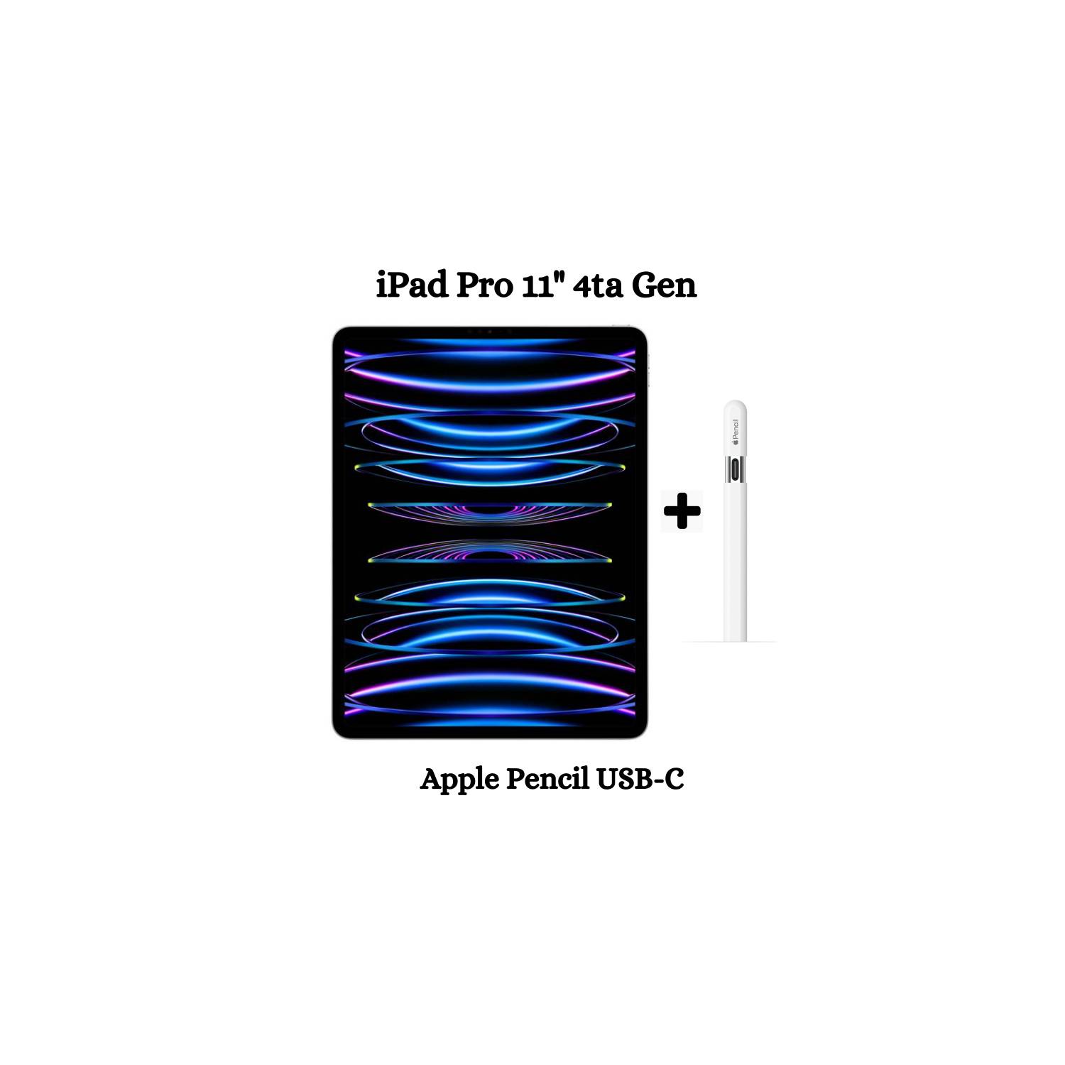 iPad Pro 11″ 128GB/ 2nd Gen/ 6GB Ram/ Negro Reacondicionado