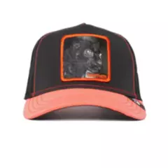 GOORIN BROS - Gorra Dark Shines  –  The Farm by Goorin Bros® Official Trucker Hat