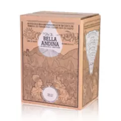 BELLA ANDINA - Agua mineral Bella Andina 20L